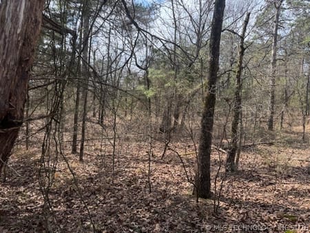 Red Oak, OK 74563 Latimer County