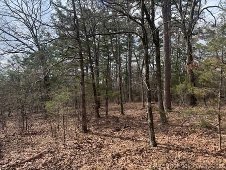 Red Oak, OK 74563 Latimer County