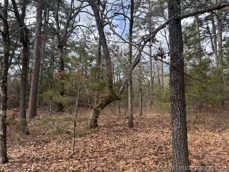 Red Oak, OK 74563 Latimer County
