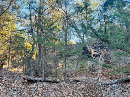Bells, TX 75414 Grayson County