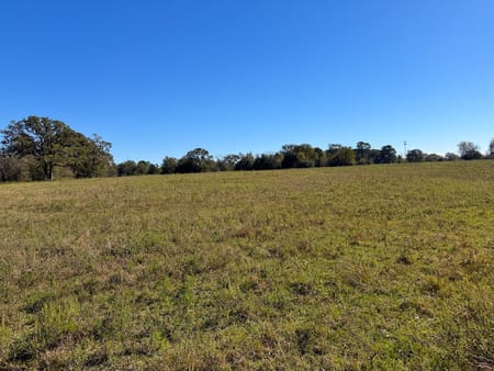 Huntsville, TX 77320 Walker County
