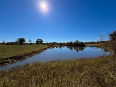 Huntsville, TX 77320 Walker County