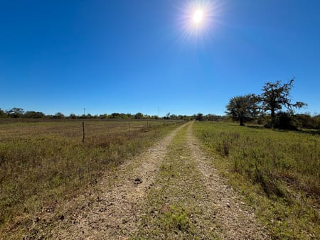 Huntsville, TX 77320 Walker County