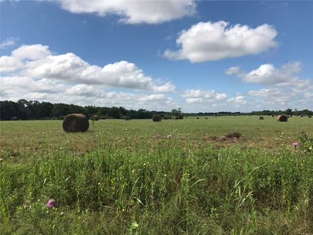 Wills Point, TX 75169 Van Zandt County