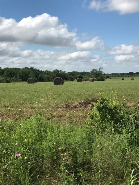 Wills Point, TX 75169 Van Zandt County