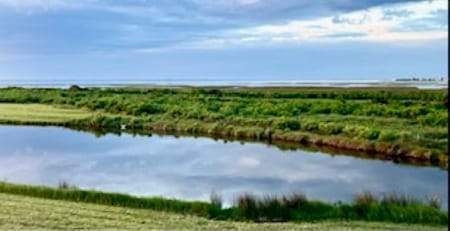 Galveston, TX 77554 Galveston County