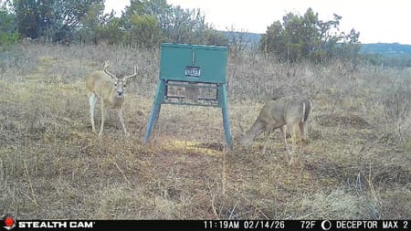 Tuscola, TX 79562 Taylor County