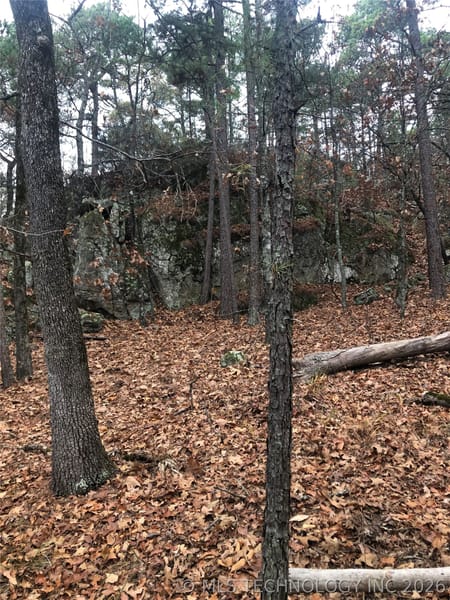 Moyers, OK 74557 Pushmataha County