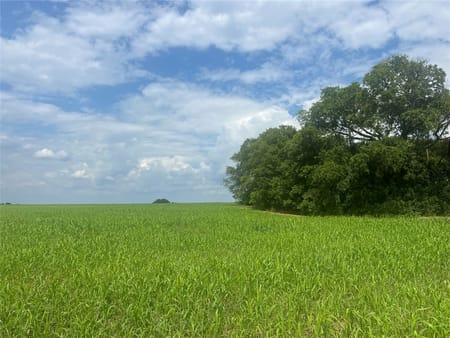 Windom, TX 75492 Fannin County