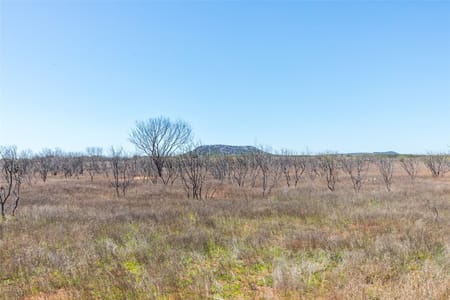Ovalo, TX 79541 Taylor County