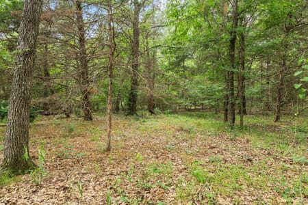 Bonham, TX 75418 Fannin County