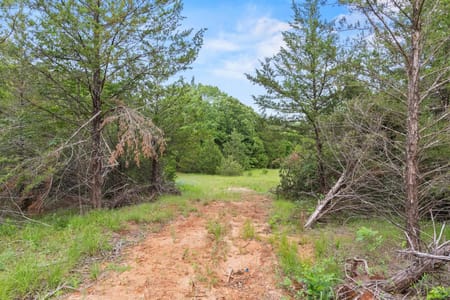 Bonham, TX 75418 Fannin County