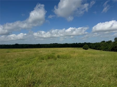 Ladonia, TX 75449 Fannin County
