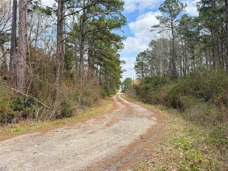 Dayton, TX 77535 Liberty County