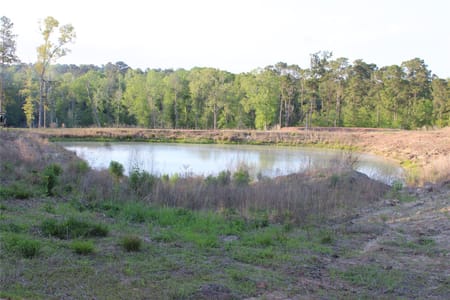 Coldspring, TX 77331 San Jacinto County