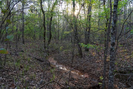 Ore City, TX 75683 Upshur County