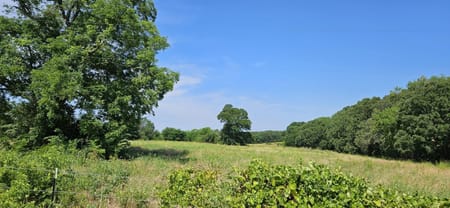 Denison, TX 75021 Grayson County