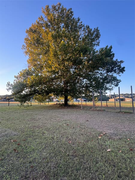 Hallsville, TX 75650 Harrison County