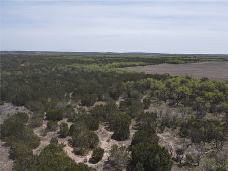 No City, TX 75966 Taylor County