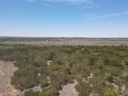 No City, TX 75966 Taylor County
