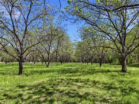 Bluff Dale, TX 76433 Hood County