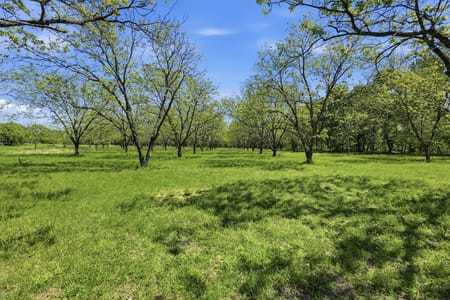 Bluff Dale, TX 76433 Hood County