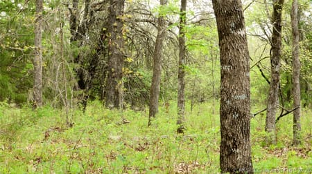 Kinta, OK 74552 Haskell County