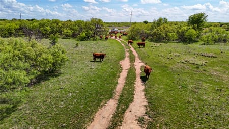 Nocona, TX 76255 Montague County