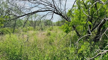 Beeville, TX 78102 Bee County