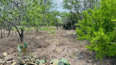 Beeville, TX 78102 Bee County