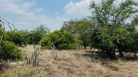 Beeville, TX 78102 Bee County