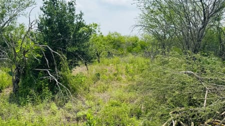 Beeville, TX 78102 Bee County