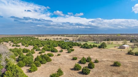 Bonham, TX 75418 Fannin County