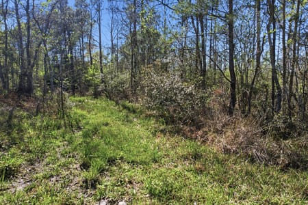 Hull, TX 77564 Liberty County