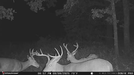 Bartlesville, OK 74003 Osage County