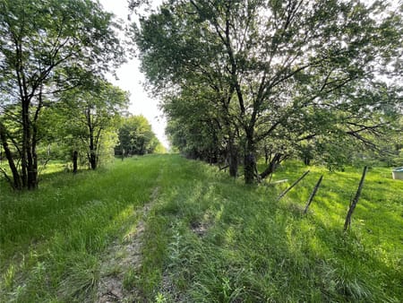 Coolidge, TX 76635 Limestone County