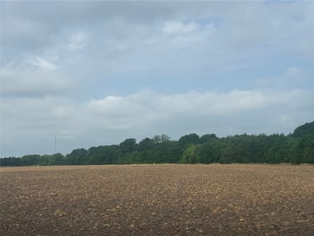 Bonham, TX 75418 Fannin County