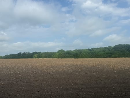 Bonham, TX 75418 Fannin County