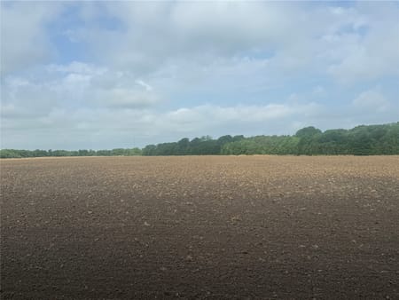 Bonham, TX 75418 Fannin County