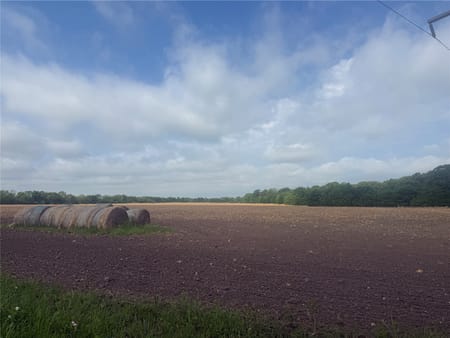 Bonham, TX 75418 Fannin County
