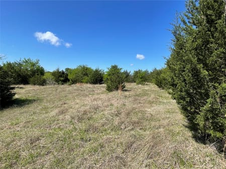 Ravenna, TX 75476 Fannin County