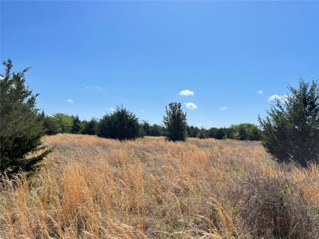 Ravenna, TX 75476 Fannin County