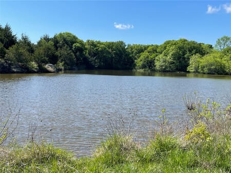 Ravenna, TX 75476 Fannin County