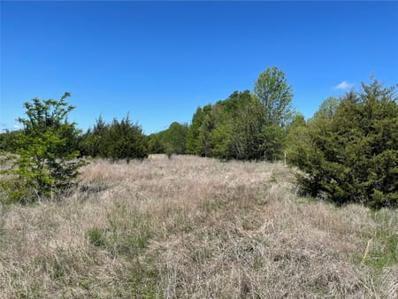 Ravenna, TX 75476 Fannin County