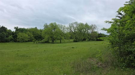 Celeste, TX 75452 Fannin County