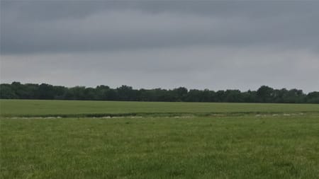 Celeste, TX 75452 Fannin County
