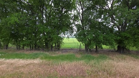 Celeste, TX 75452 Fannin County