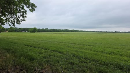 Celeste, TX 75452 Fannin County