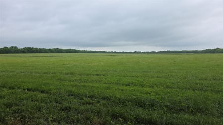 Celeste, TX 75452 Fannin County