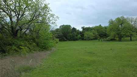 Celeste, TX 75452 Fannin County